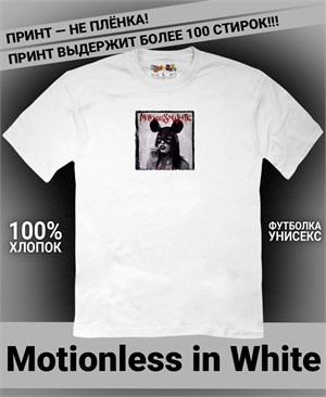 {{photo.Alt || photo.Description || 'Футболка Motionless in White-9'}}