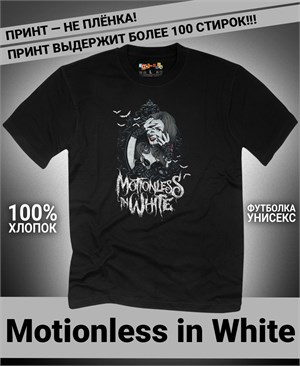 {{photo.Alt || photo.Description || 'Футболка Motionless in White-10'}}