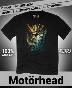 {{photo.Alt || photo.Description || 'Футболка Motorhead-24'}}