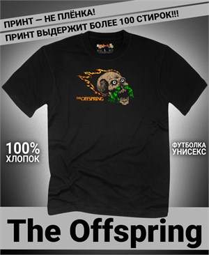 {{photo.Alt || photo.Description || 'Футболка Offspring-10'}}