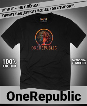 {{photo.Alt || photo.Description || 'Футболка OneRepublic-5'}}