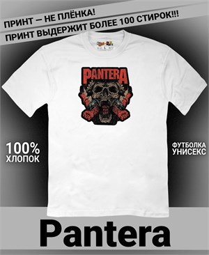{{photo.Alt || photo.Description || 'Футболка Pantera-2'}}