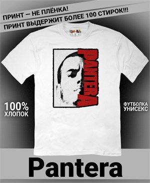 {{photo.Alt || photo.Description || 'Футболка Pantera-3'}}