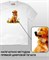 Футболка Ретривер-1 dog-6-IP