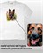 Футболка Немецкая овчарка dog-7-IP