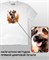 Футболка Дворняга-2 dog-8-IP